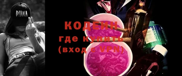 молекула духа Богородицк