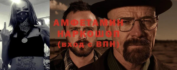 метадон Богданович