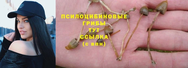 эйфоретик Балахна