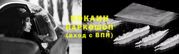 молекула духа Богородицк