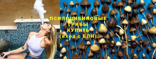 первитин Белокуриха