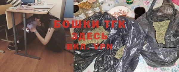 молекула духа Богородицк