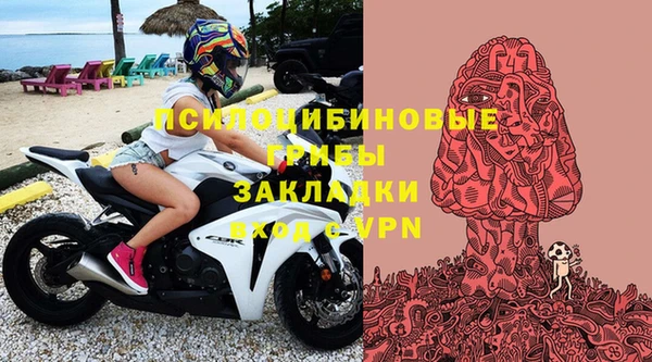 первитин Белокуриха