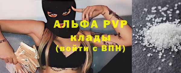 метадон Богданович
