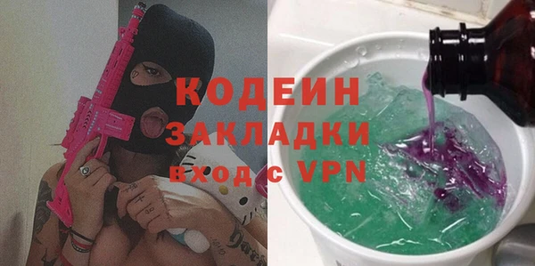 молекула духа Богородицк