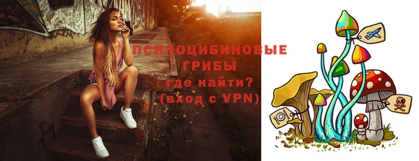 первитин Белокуриха