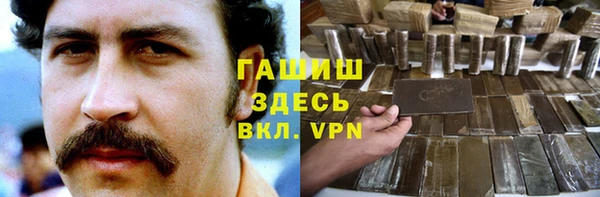 молекула духа Богородицк