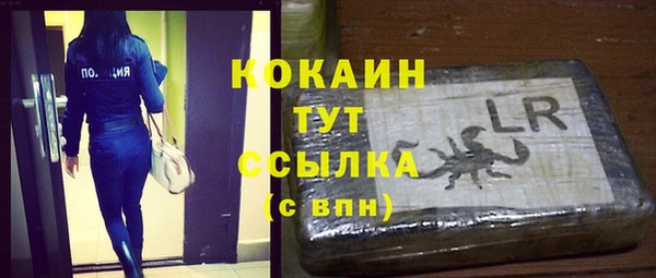 твердый Богородск
