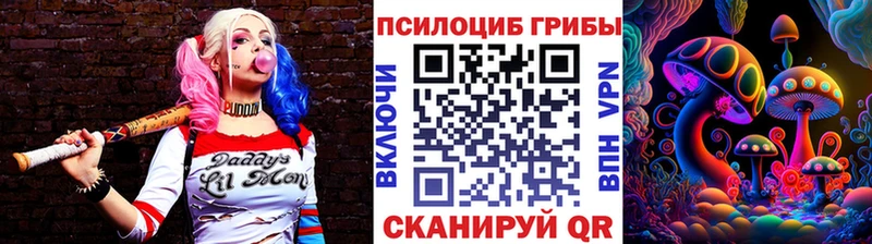 Галлюциногенные грибы Psilocybe  МЕГА зеркало  Купино 