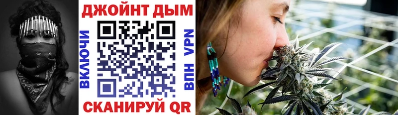 Конопля план  закладка  Купино 
